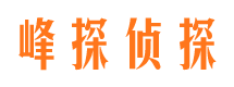 舒城市侦探调查公司